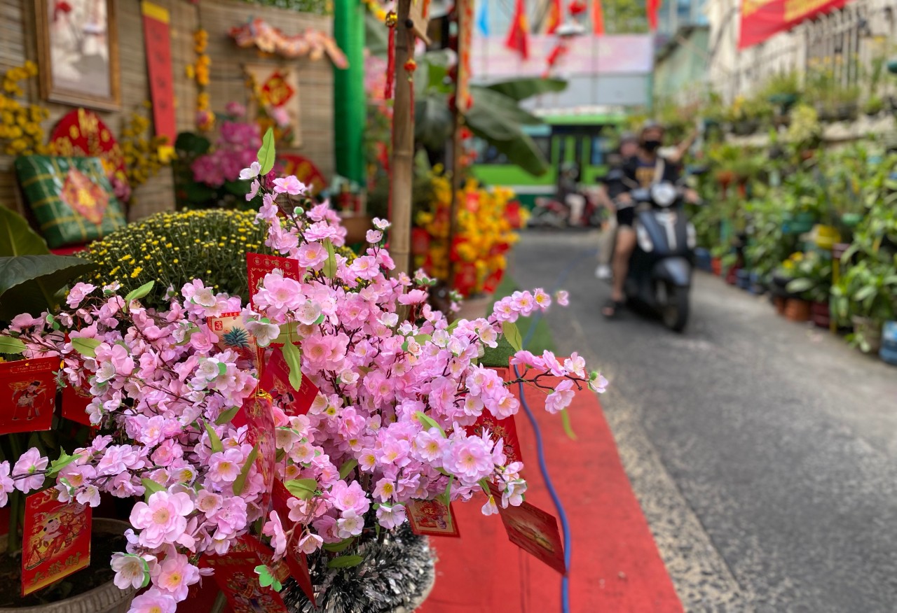 Hoa đào, hoa mai, hoa cúc,... những loại hoa đặc trưng của ngày Tết đều có đầy đủ tại những “đường hoa mini” trong hẻm